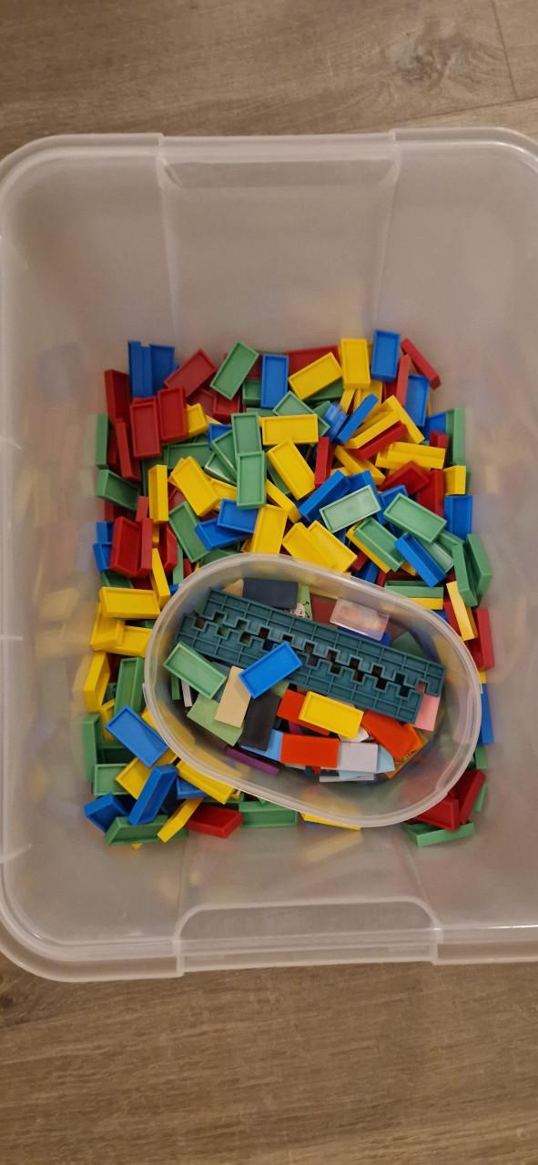 Domino