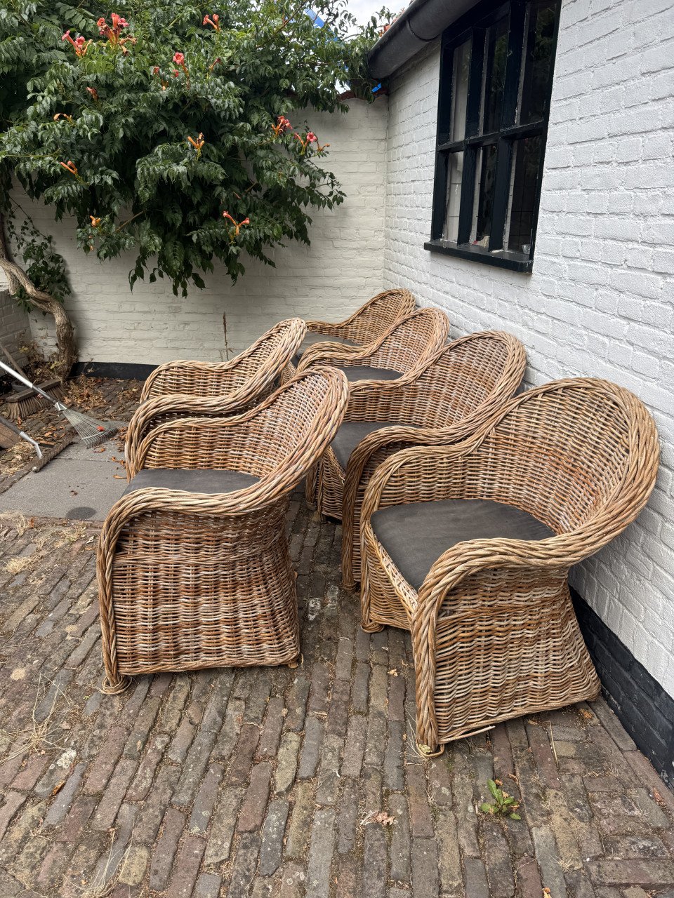 6 stoelen rotan riet landelijk