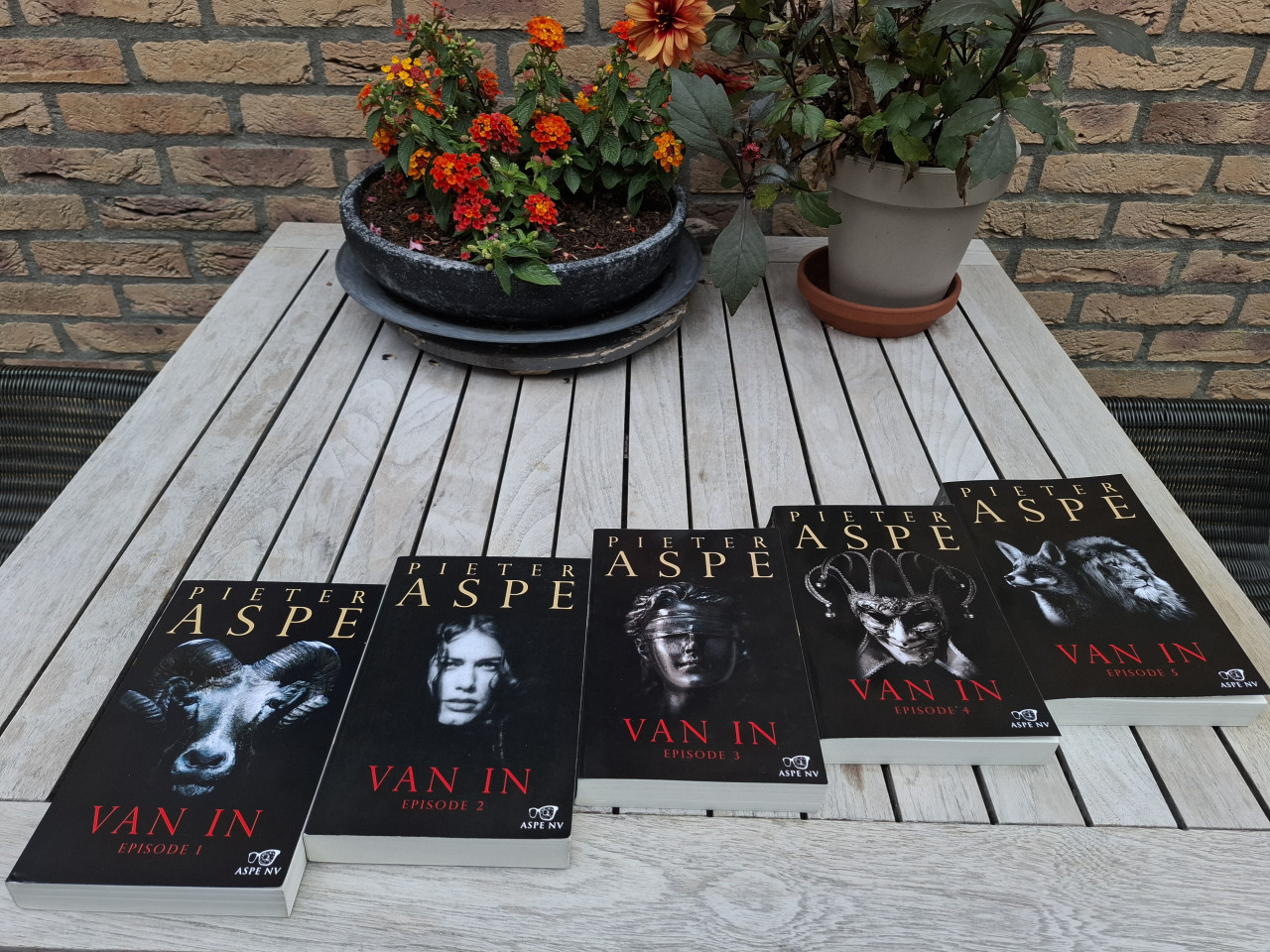 Boekenreeks van Pieter Aspe