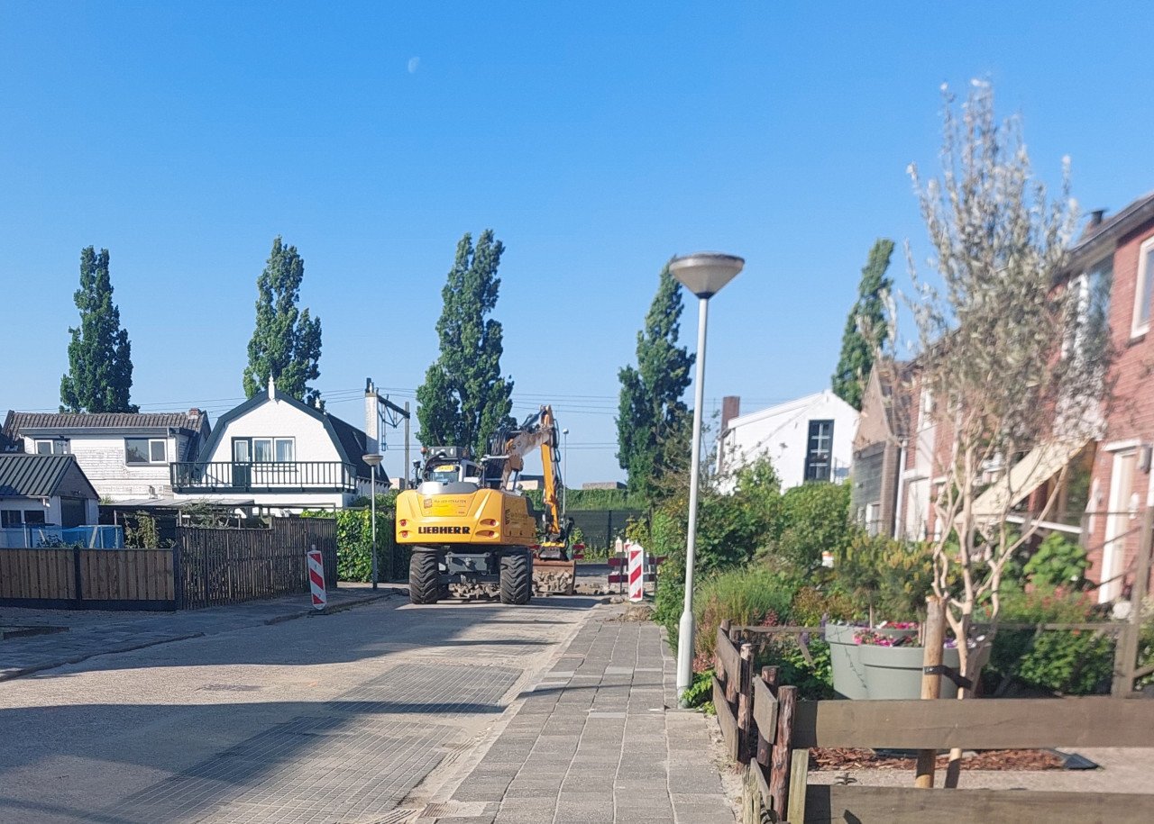 TOMATEN PLANTEN EN SIERTUIN PLANTEN BIJ DE VOORDEUR + bomen