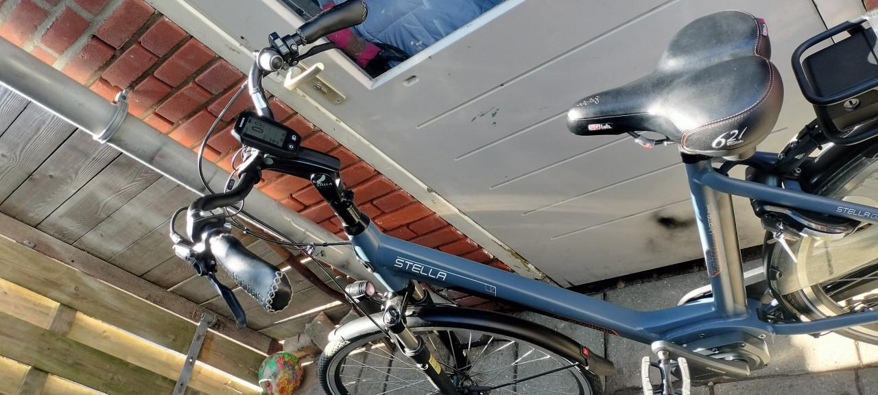 Stella Livorno steps