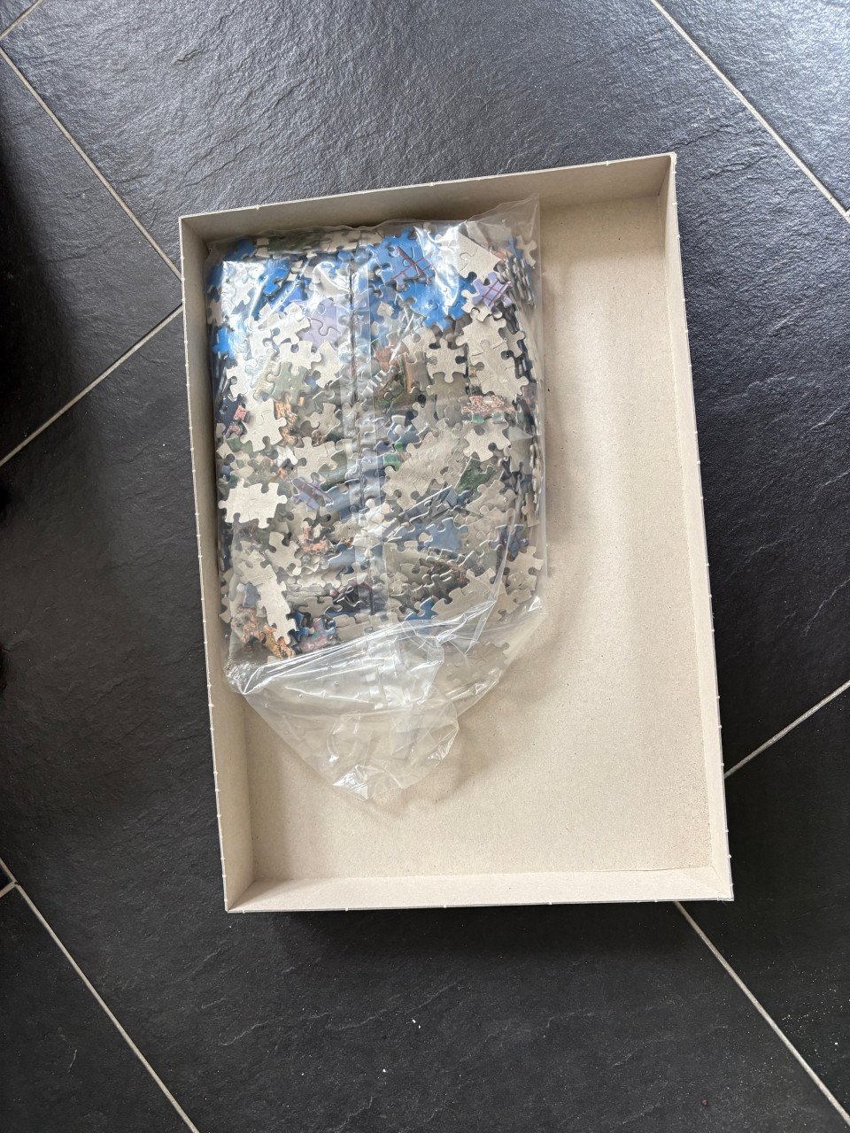 Puzzel 1000 stukjes
