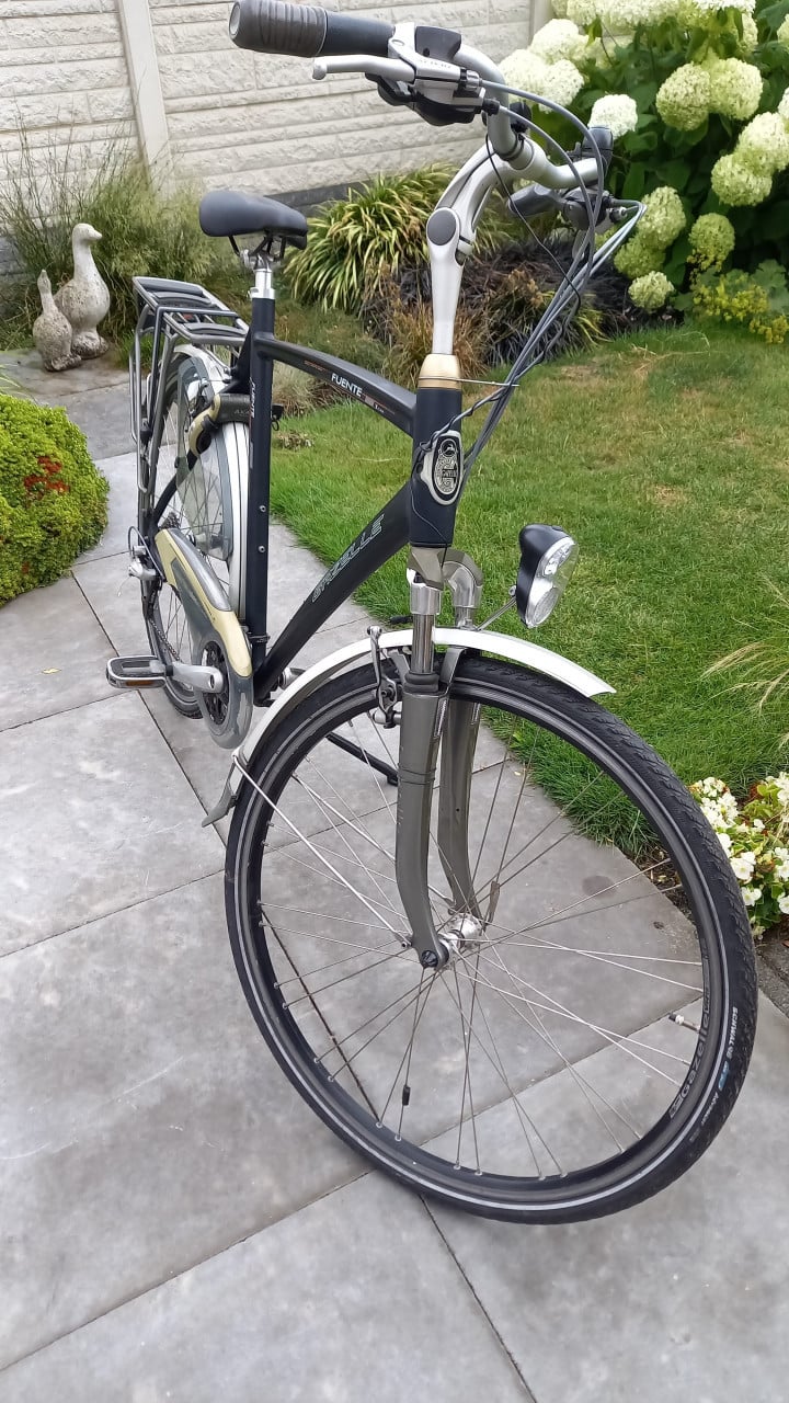 Gazelle fuente xtra