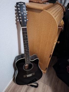 Gitaar 12 snaar