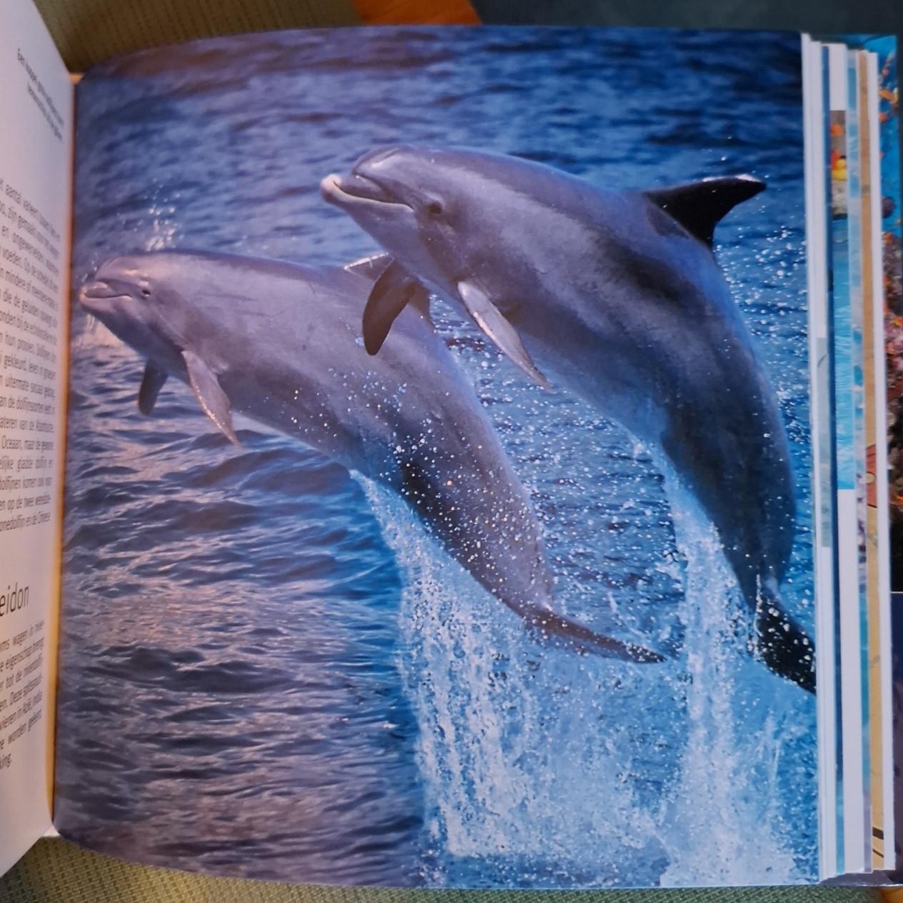 Vissen en walvissen, 1001, foto's, red. Pascal Deynat, blokboek