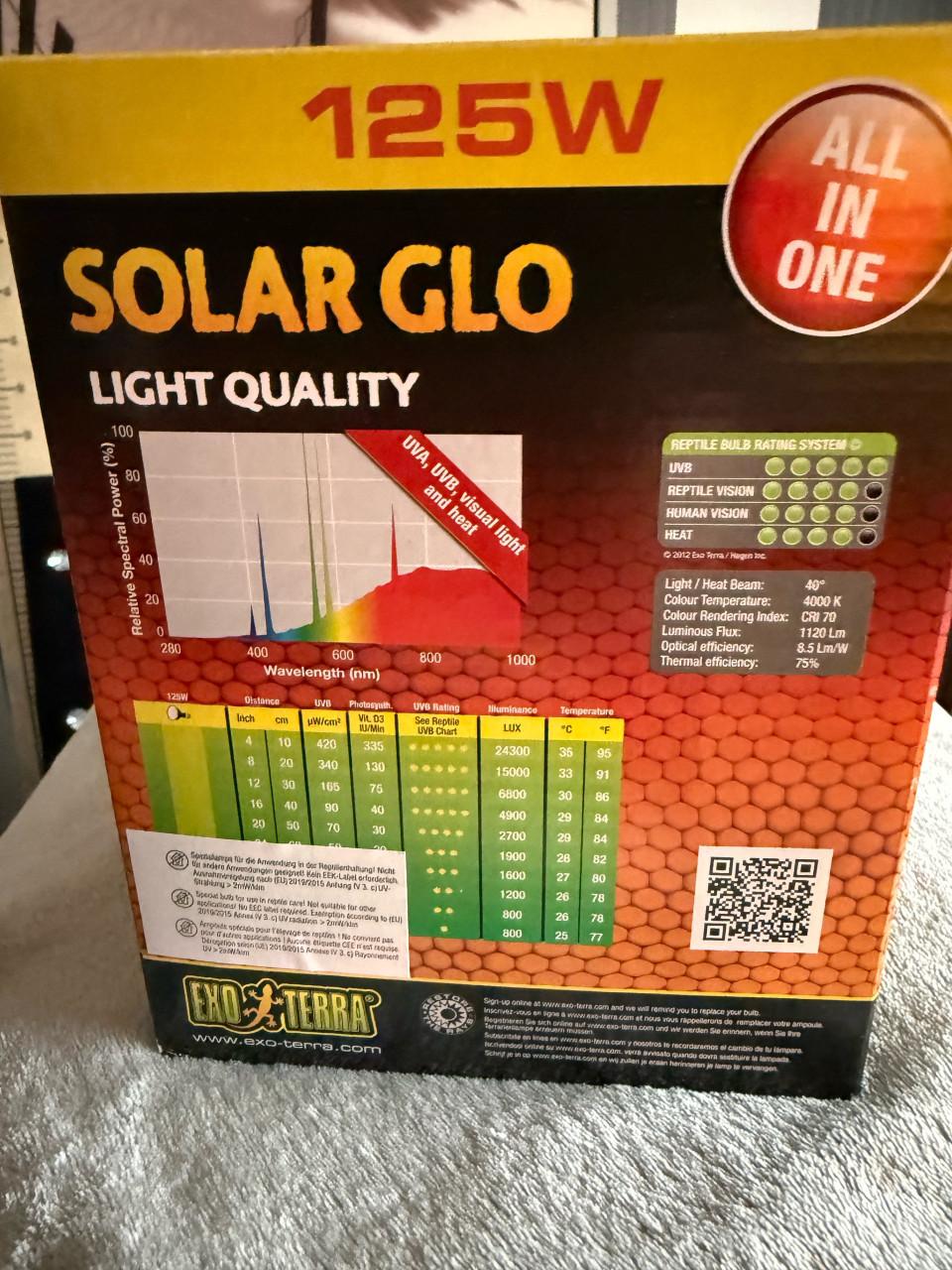 Warmte lamp terrarium