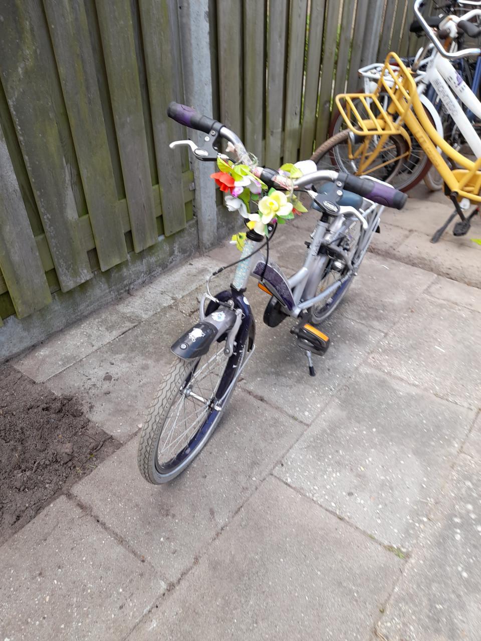 3 kinderen fieten