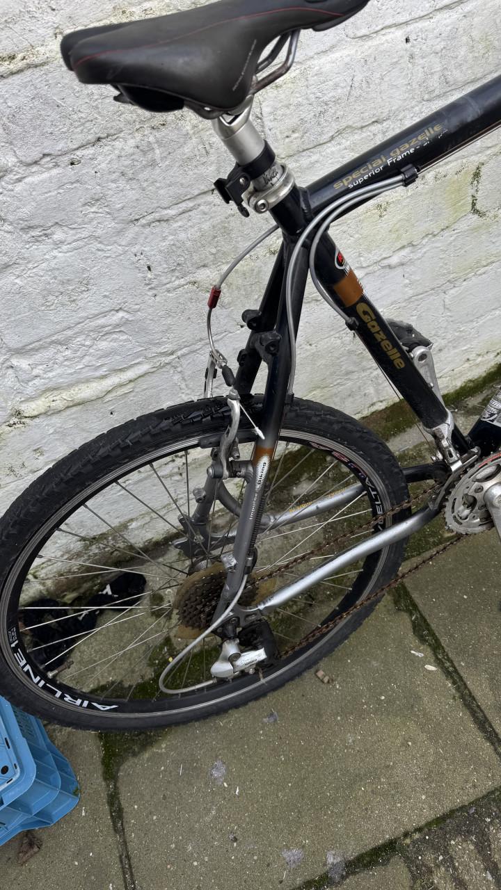 Gazelle mountainbike