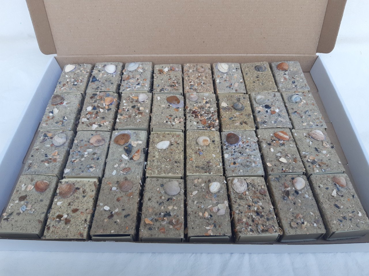 24 kleine cadeau doosjes met schelpje, strand thema