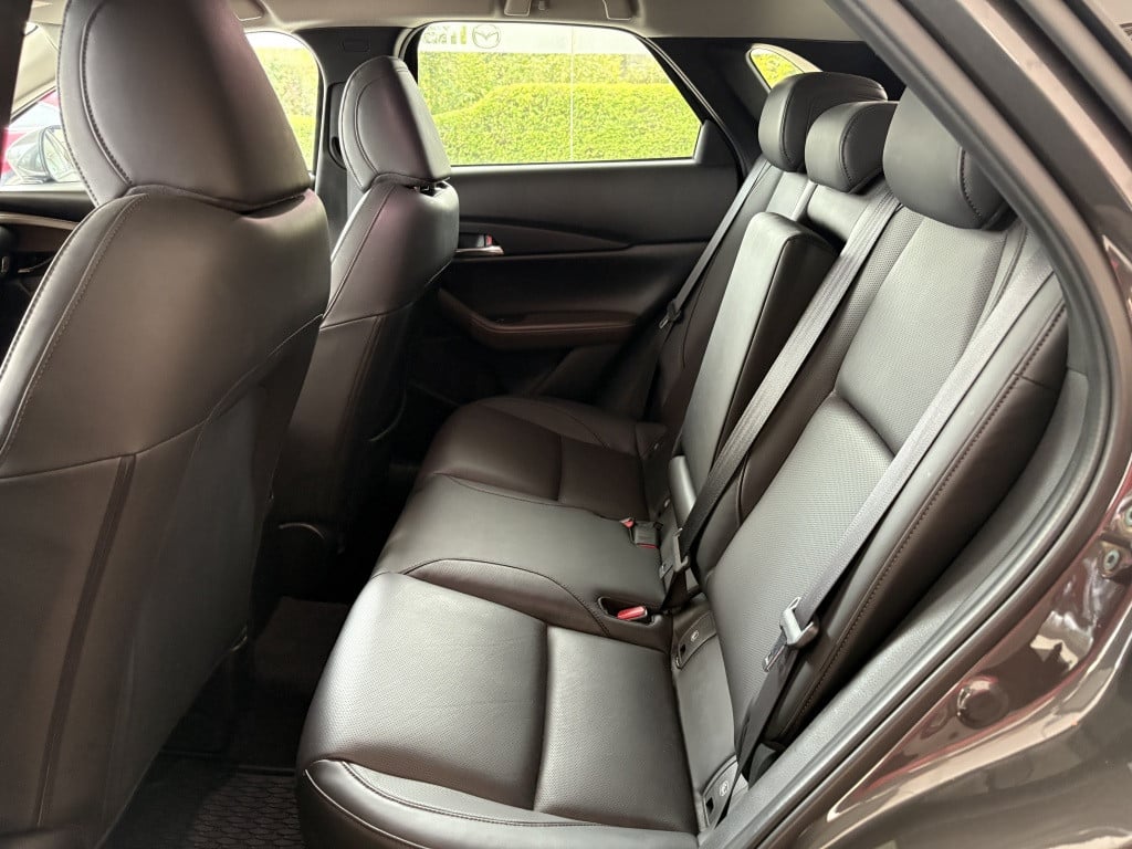 Mazda Cx-30 2.0 esa-x luxury schuif/kantel dak leer bose
