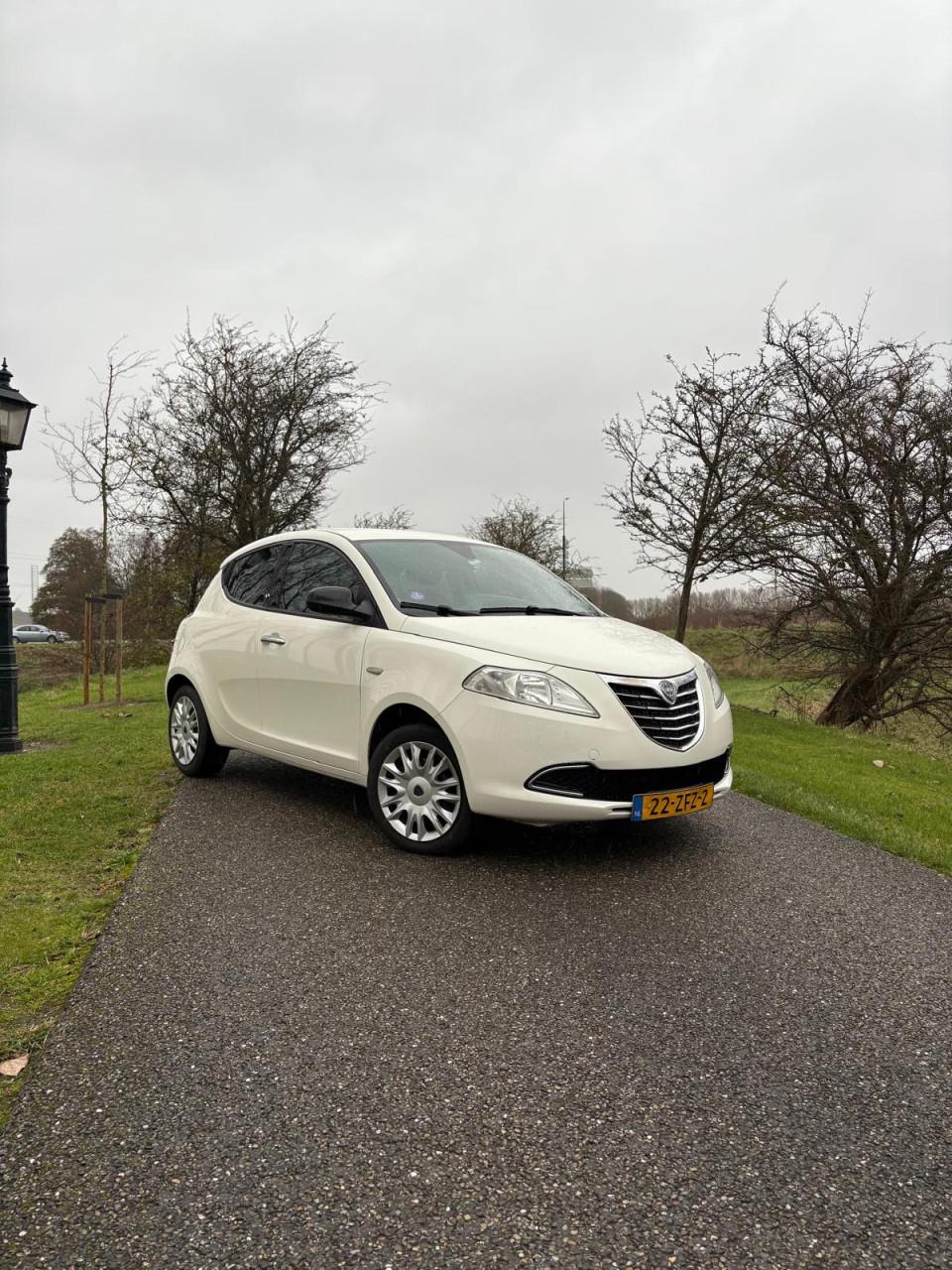 Lancia Ypsilon 0.9 TwinAir GOLD |AUT|CRUISE|A-LABEL