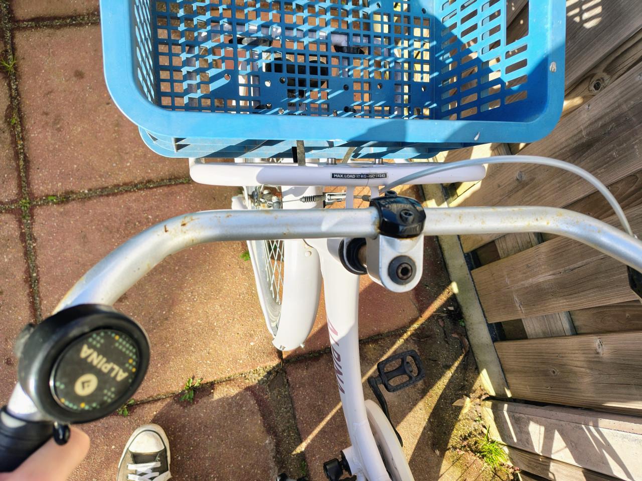 Meisjesfiets 22 inch Alpina