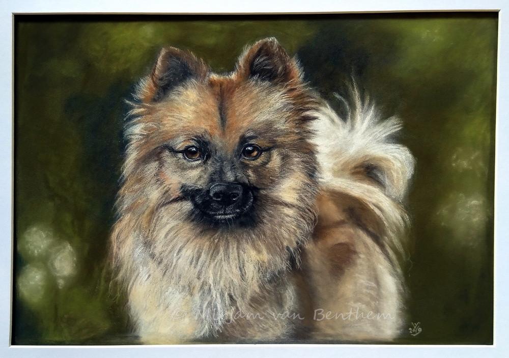 Portret van uw huisdier