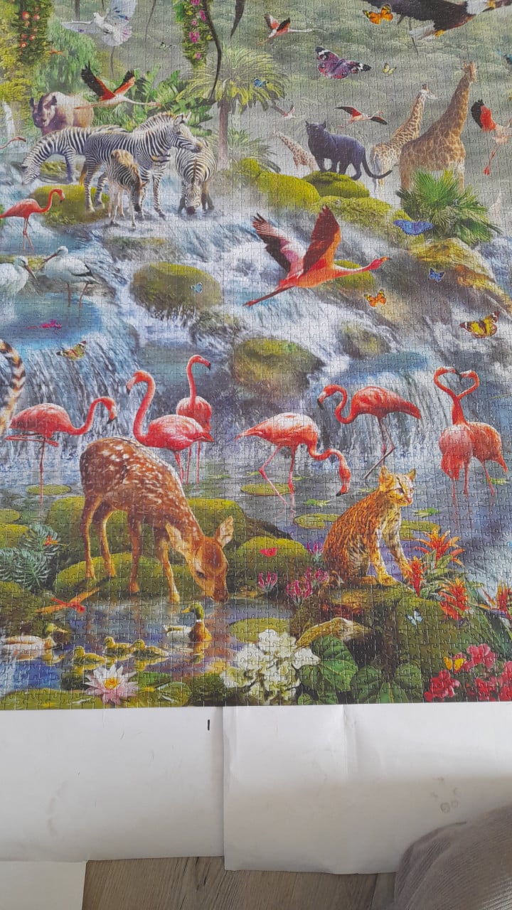 Educa legpuzzel jungle 33600 stukjes