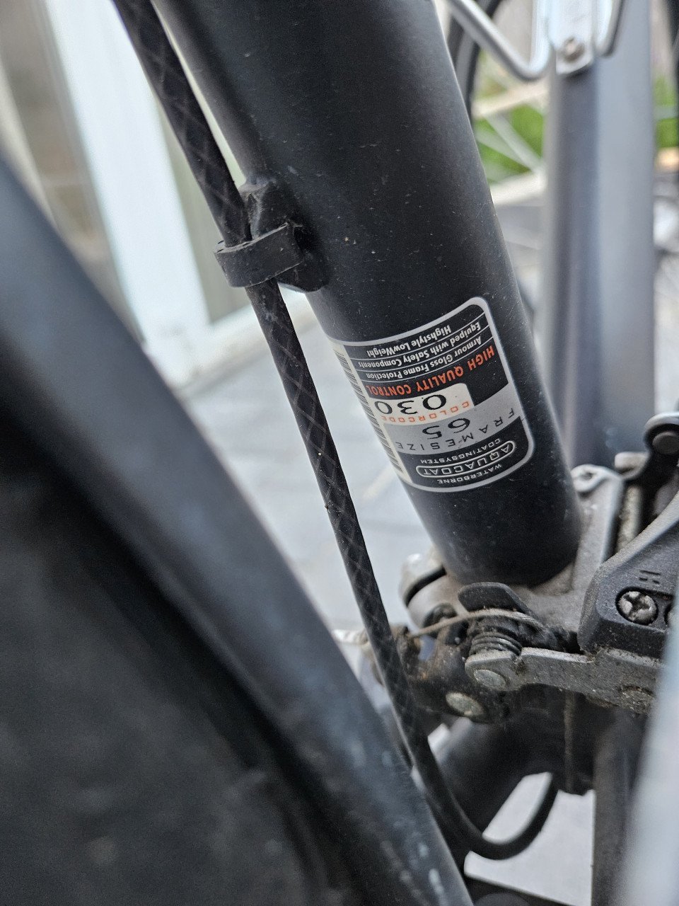 Batavus Zonar