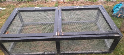 Dieren ren