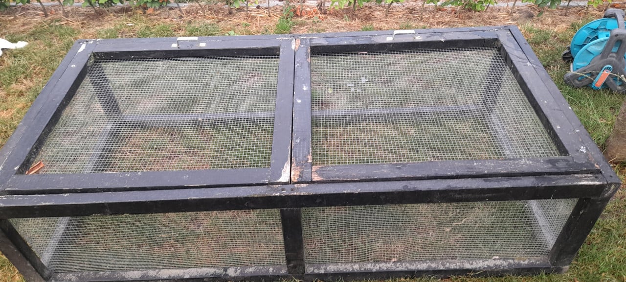 Dieren ren