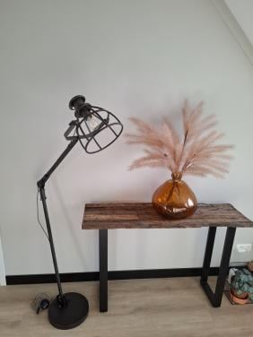 2 mooie lampen industriele look (ook los te koop)