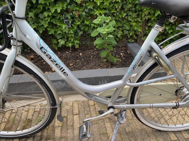Moederfiets Gazelle Bloom