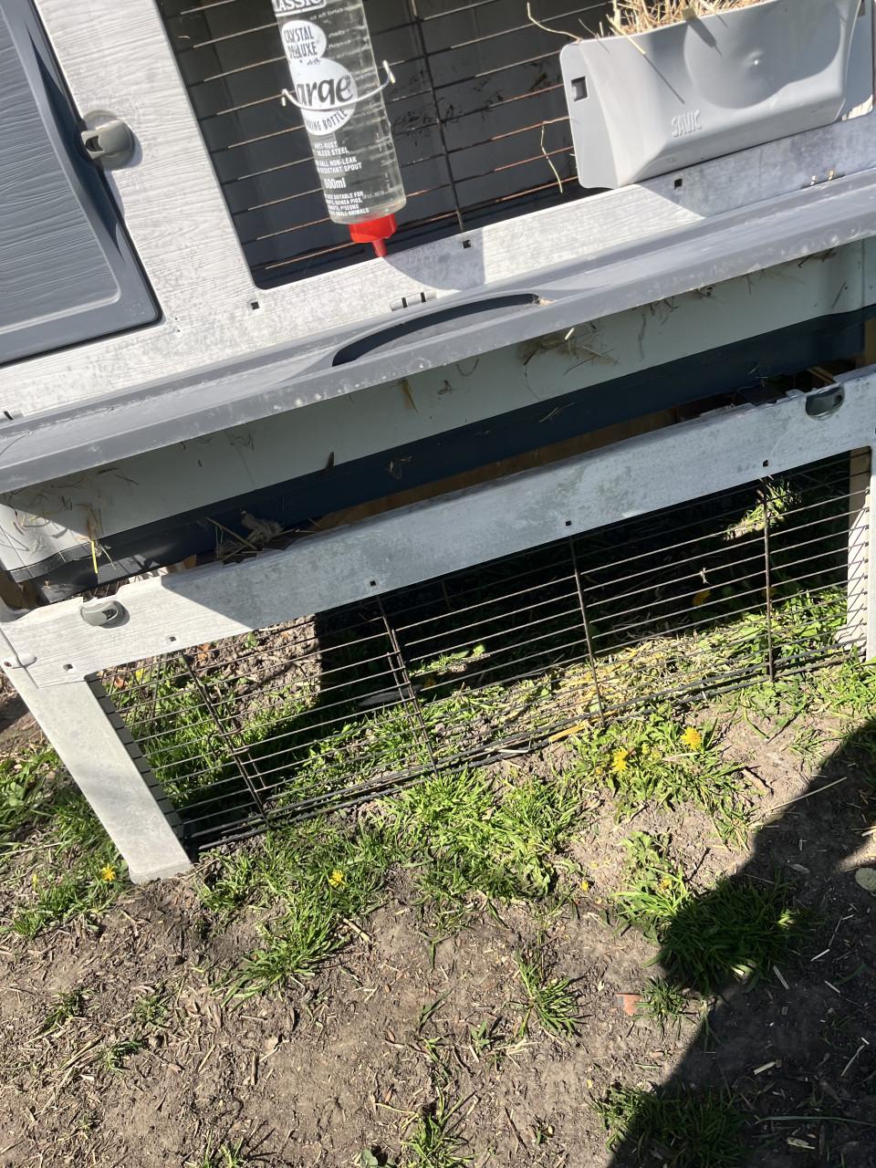 Konijnhok plus konijn