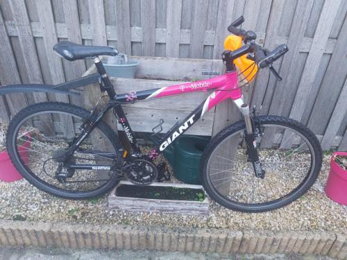 Mountainbikes en fietsendrager voor trekhaak  twee fietsen met verlichting