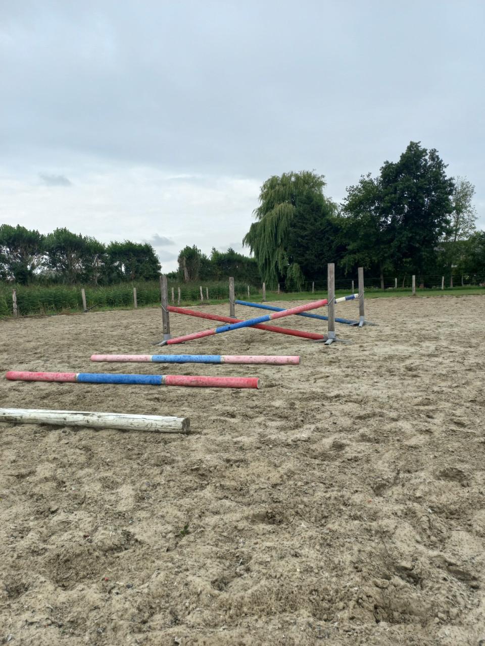 Hindernis staanders en balken set paarden