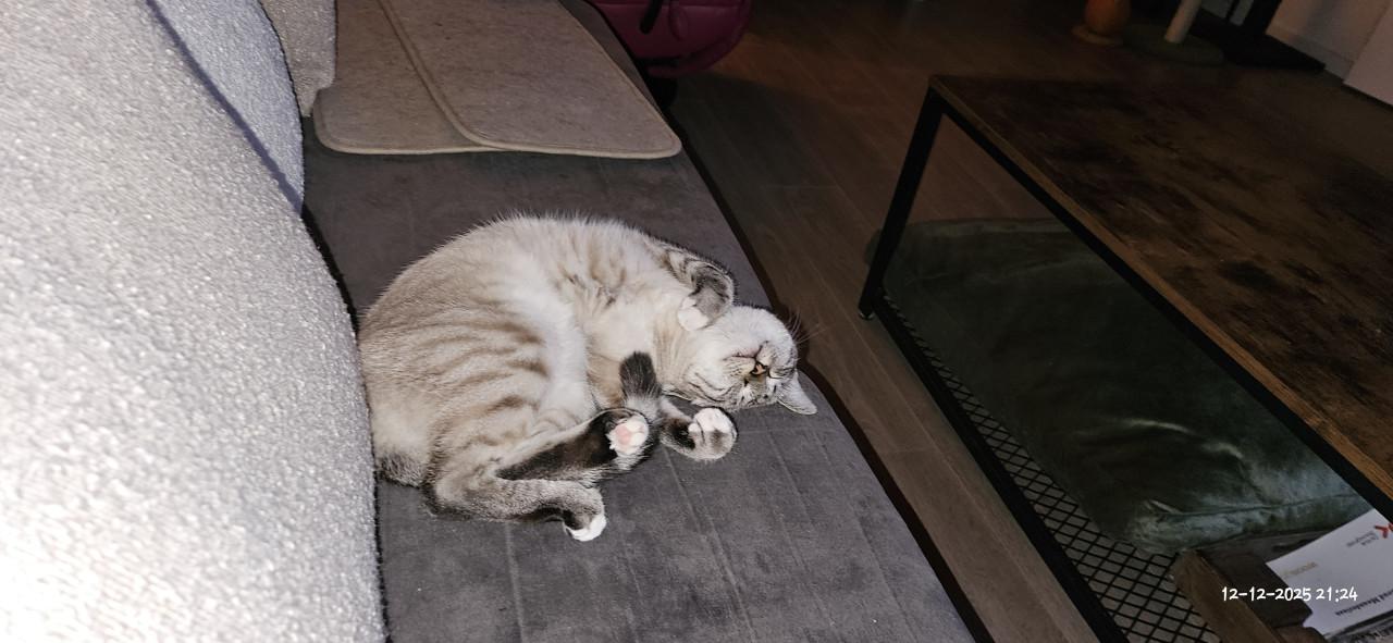 Nora zoekt een ander huisje