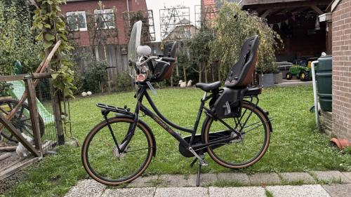 Cortina elektrische moederfiets met zitjes