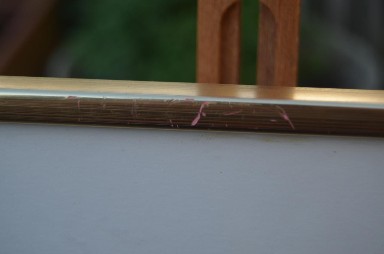 Gravure 19e eeuws van een specht, wel mooi eigenlijk