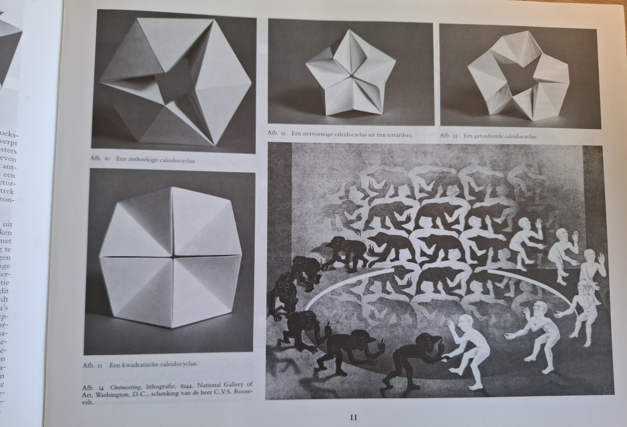 M.C. Escher Caleidocycli, door Doris Schattschneider, plus 12 werkbladen