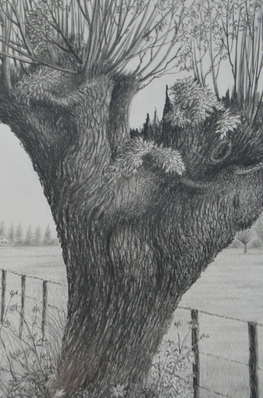 10 x Hendrik Voskuijl (1893 - 1980) potloodtek. bomen (3) o.a. Ommen