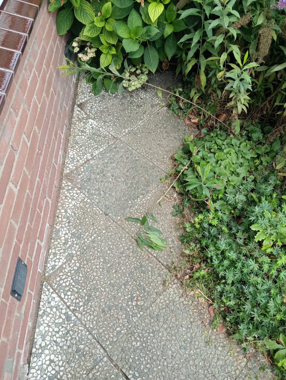 Tuinman nodig? Ben Beschikbaar!