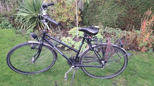 Damesfiets Batavus