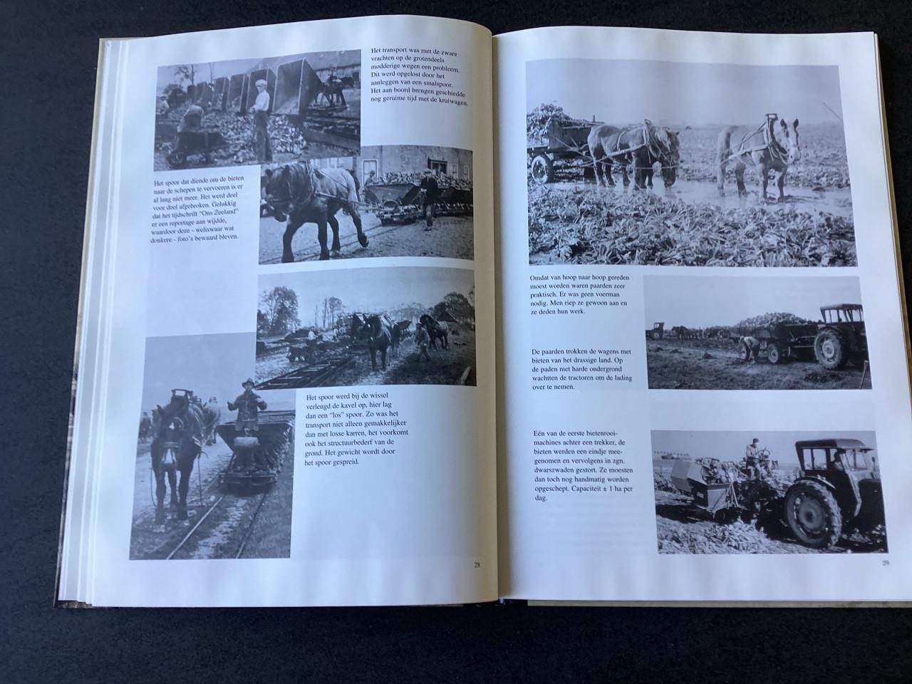 De wilhelminapolder . Zeeland.