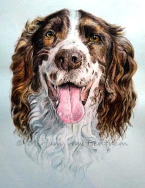 Dierportret in opdracht