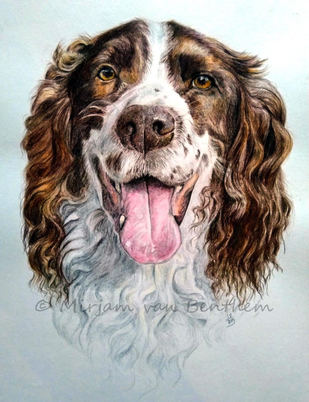 Dierportret in opdracht