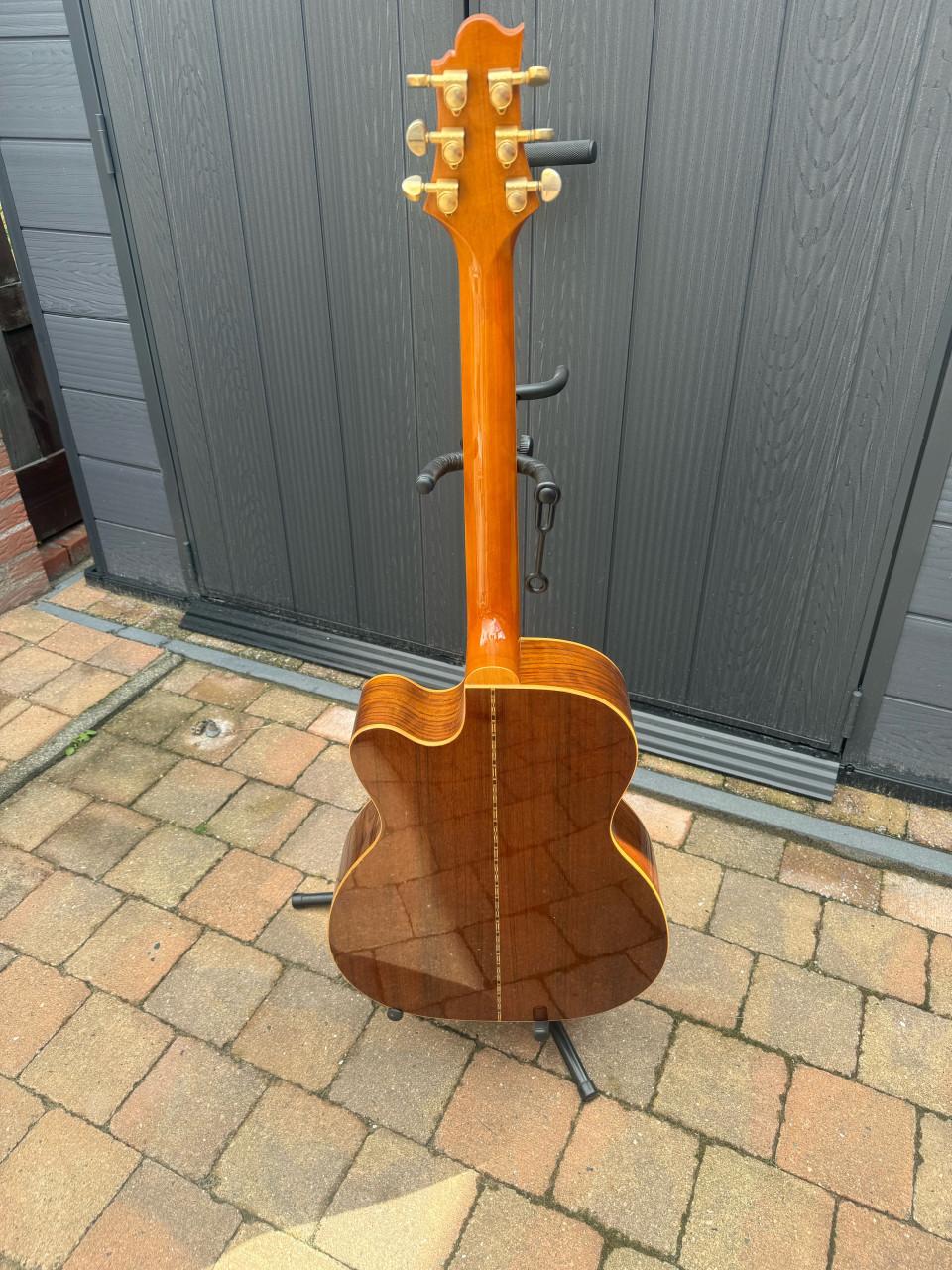 Greg Bennet Gitaar