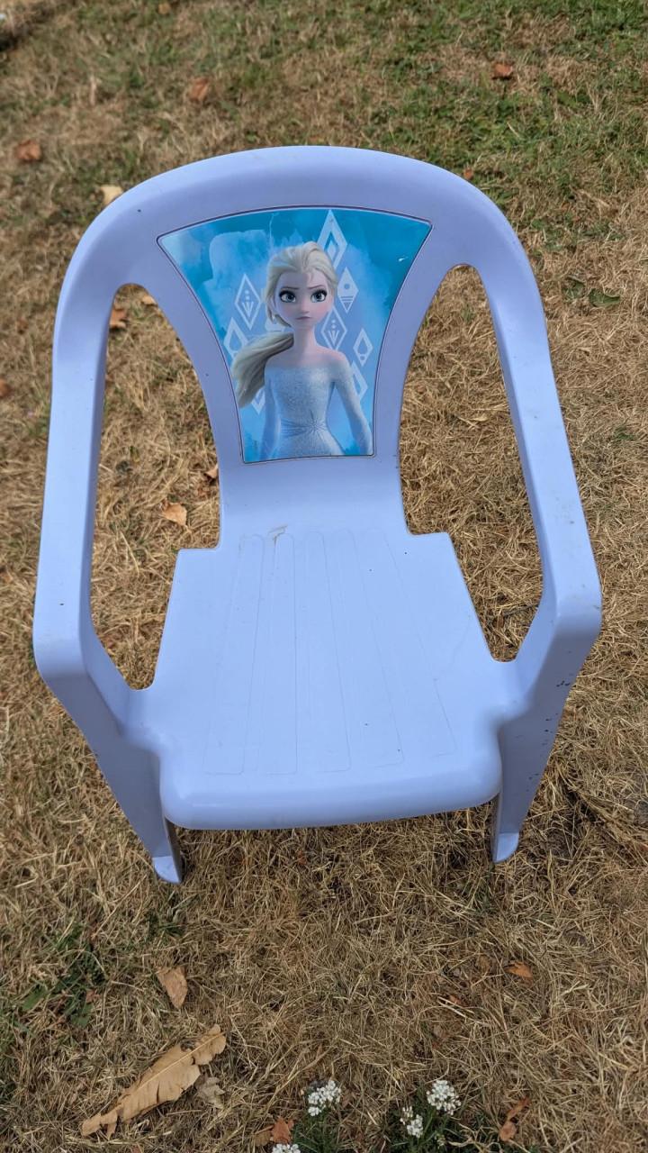 Frozen kinder tuinstoeltje