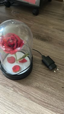 Lief lampje