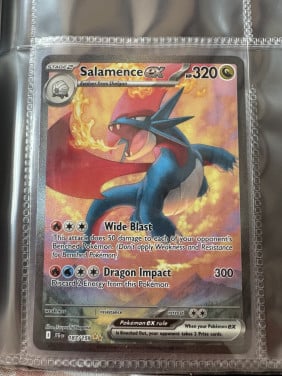 Pokemon Salamence Journey Together