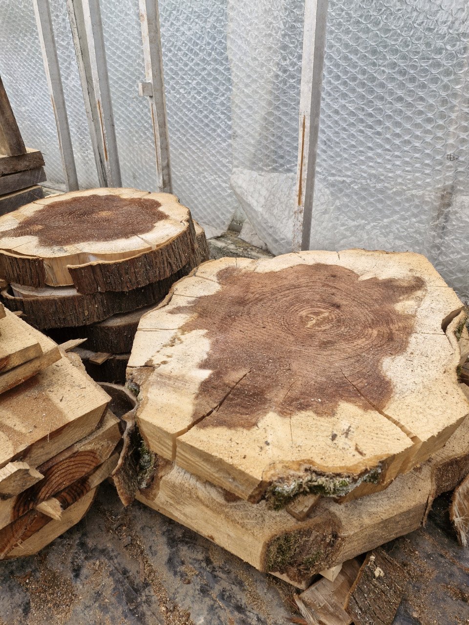 Houten schijven van sequoia