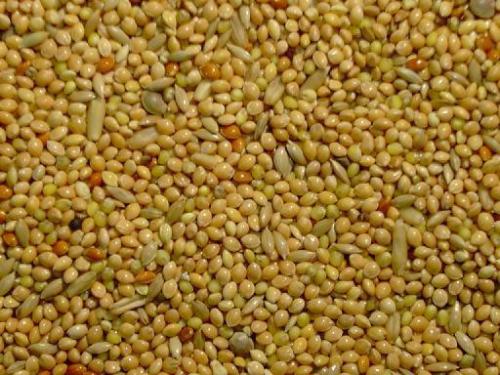 Slaats Parkietenzaad 20 kilo € 25,95