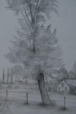 10 x Hendrik Voskuijl (1893 - 1980) potloodtek. bomen (3) o.a. Ommen