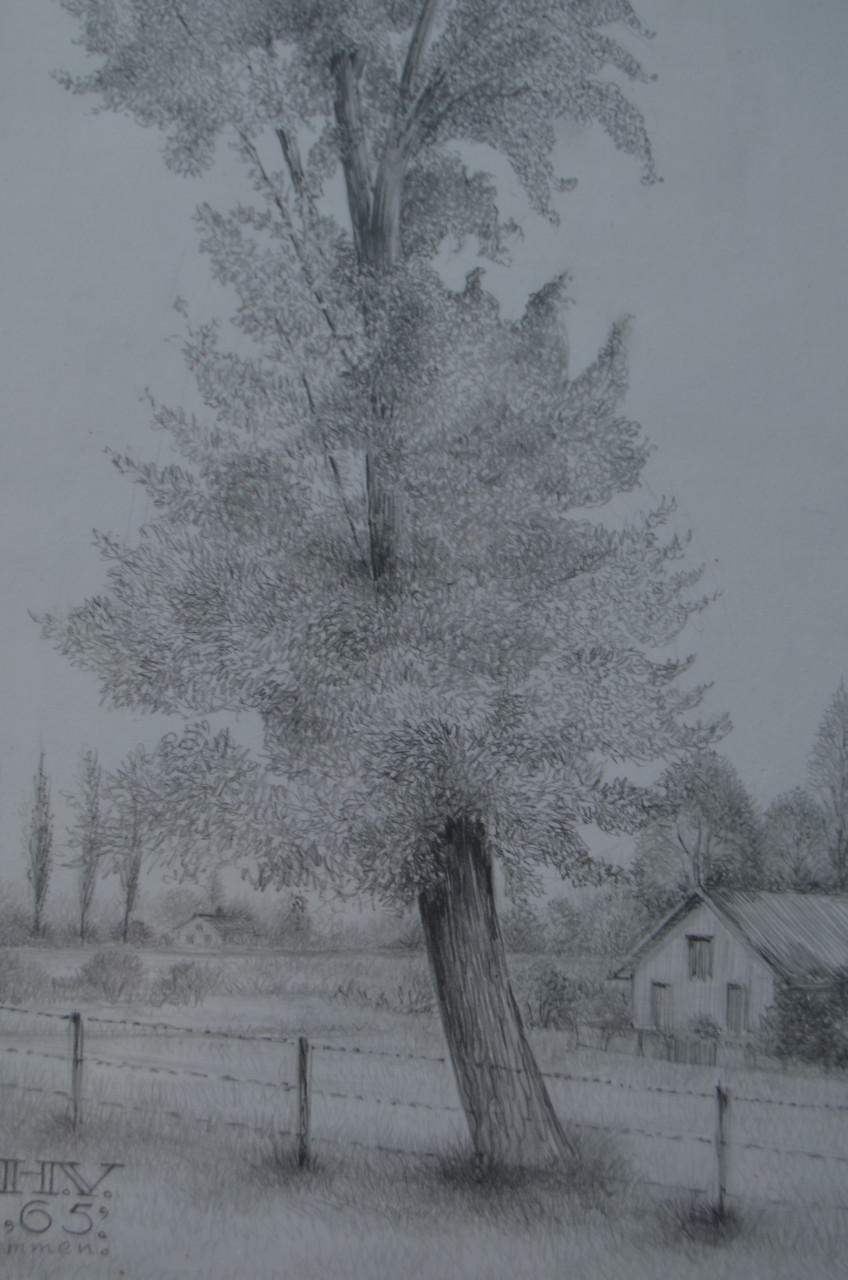 10 x Hendrik Voskuijl (1893 - 1980) potloodtek. bomen (3) o.a. Ommen