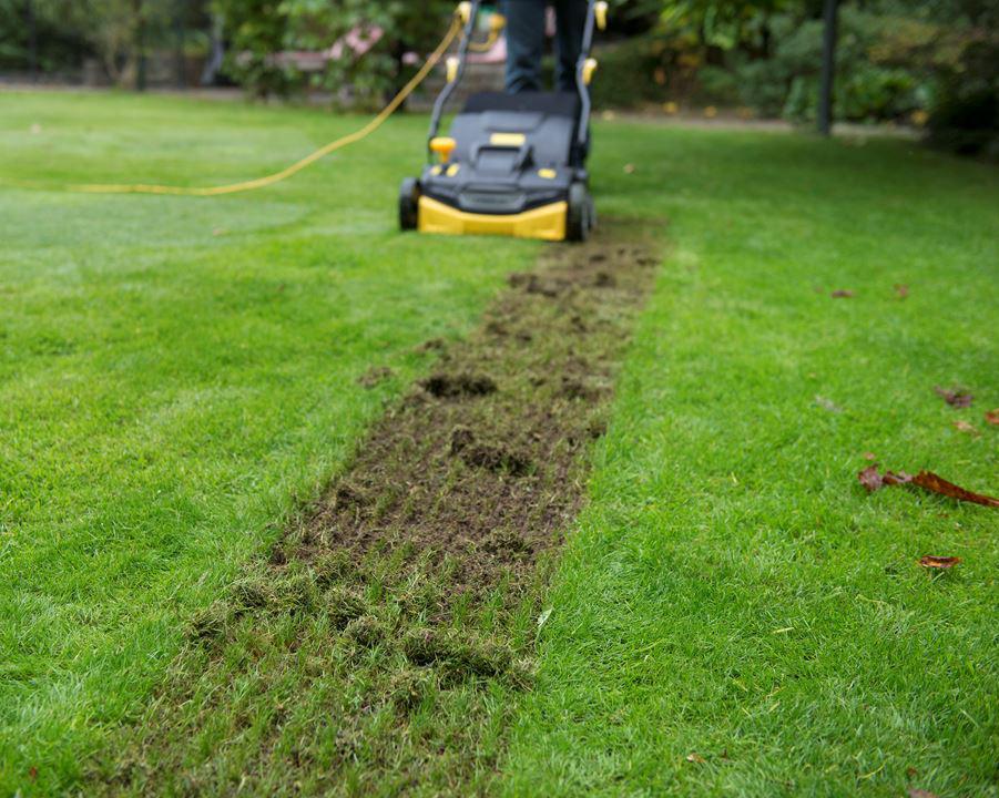 VERTICUTEERMACHINE TE HUUR