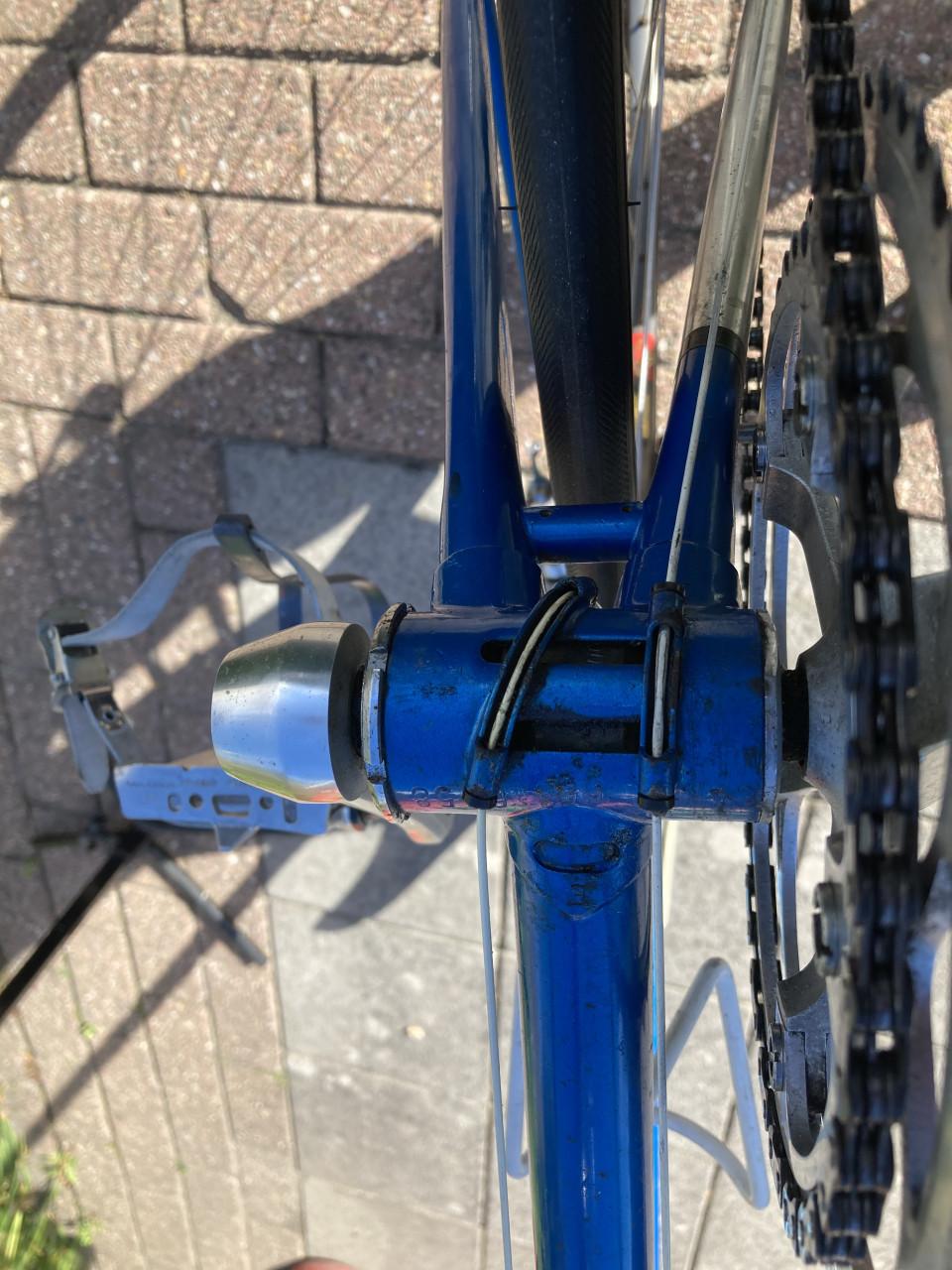 Batavus Professional