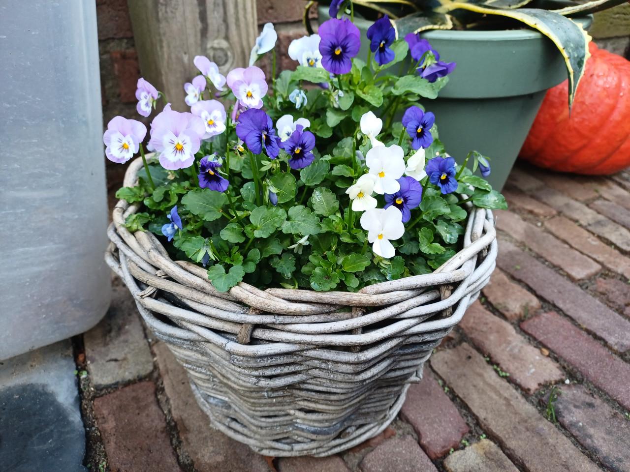 Voor de LENTE: van der Leeden Drymand Rotan Terrasmand Ø 25 cm