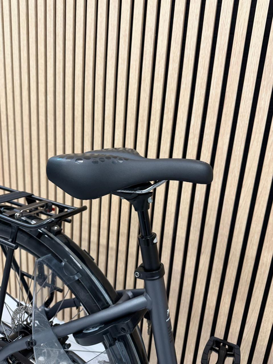 Pegasus Ravenna Evo Bosch Performance Line 45CM 625Wh Belt