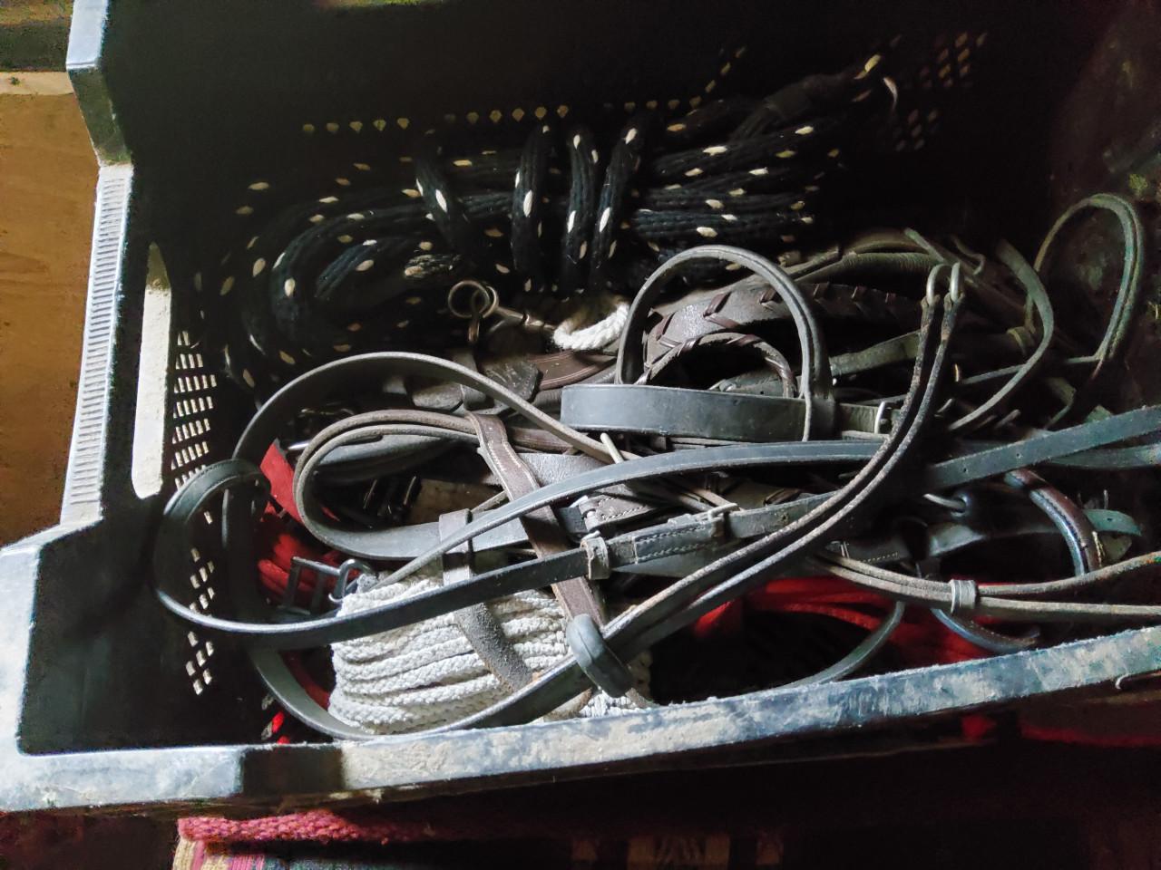 Diverse dekjes longeer lijnen