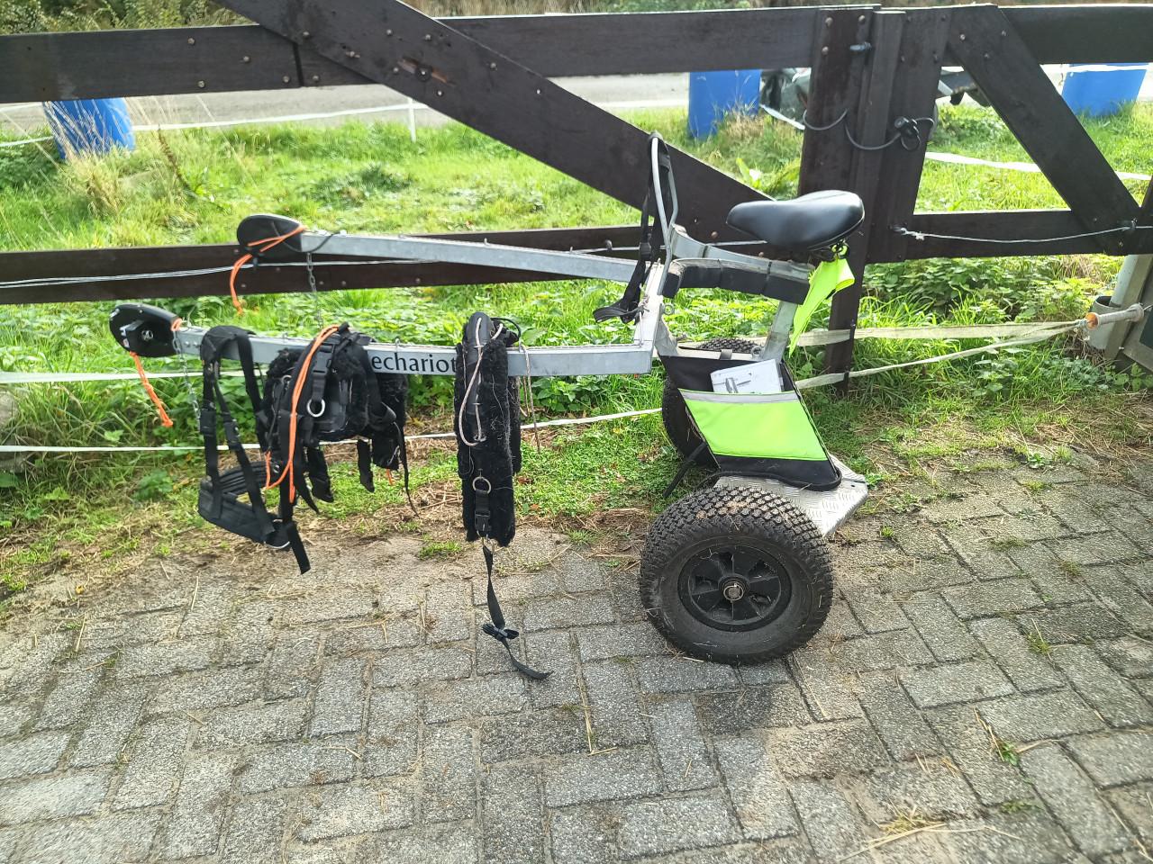 Unieke Saddle Chariot